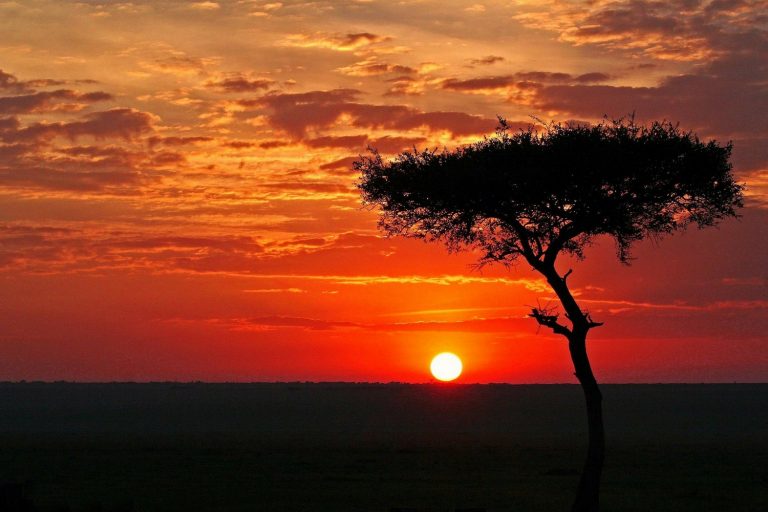 Arqueomúsica: Música tribal en Kenia