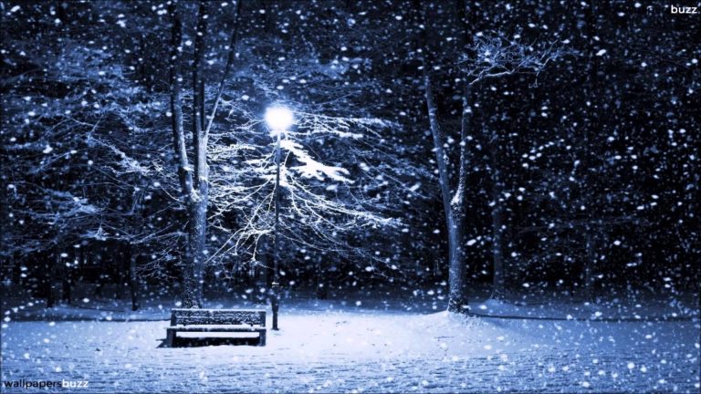 Música en familia: Invierno y cascabeles
