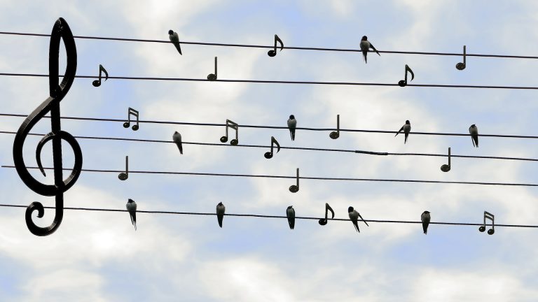 Música en Familia: Animaladas musicales, un carnaval de los animales poético y musical