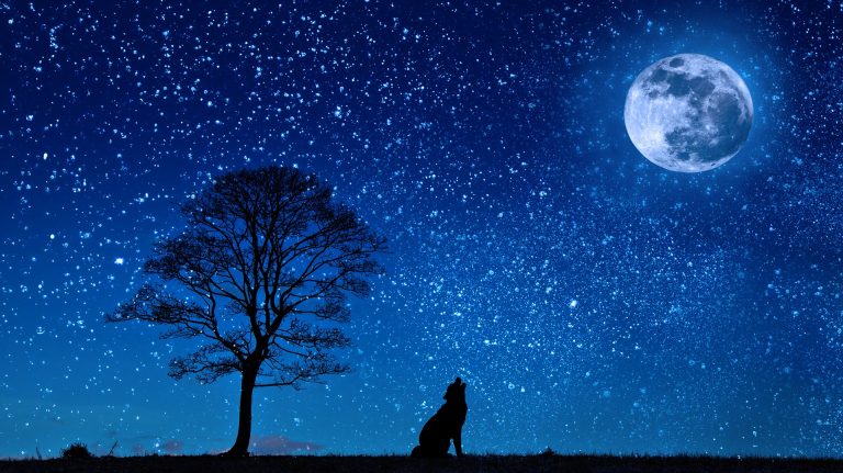 Música en Familia: Música en la Noche