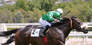 Hoy Toca: El Caballo