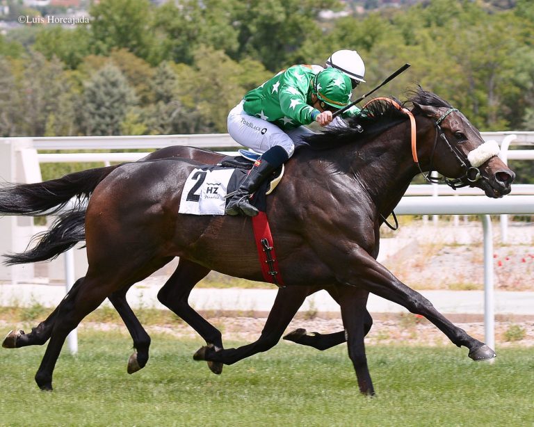 Hoy Toca: El Caballo