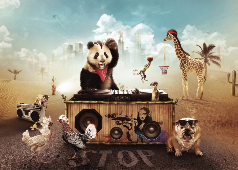 Mucho más que Mozart: Animales