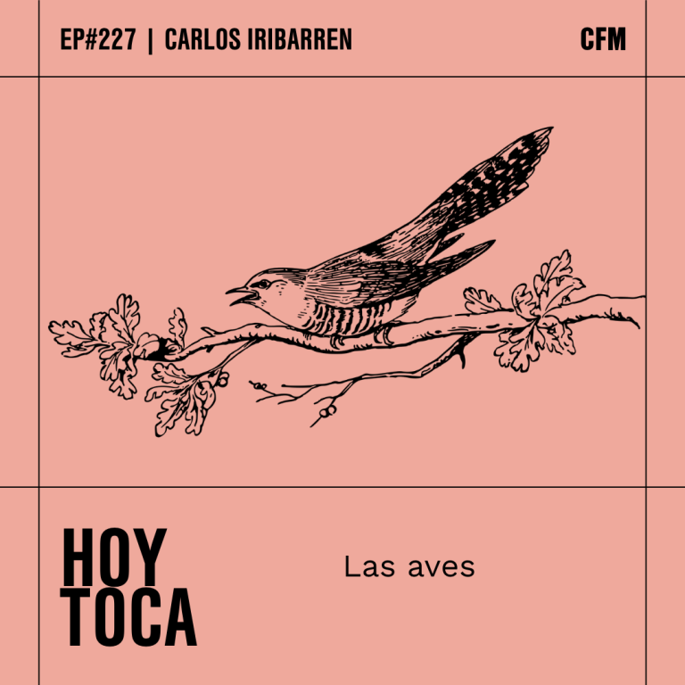 Las aves | Hoy Toca